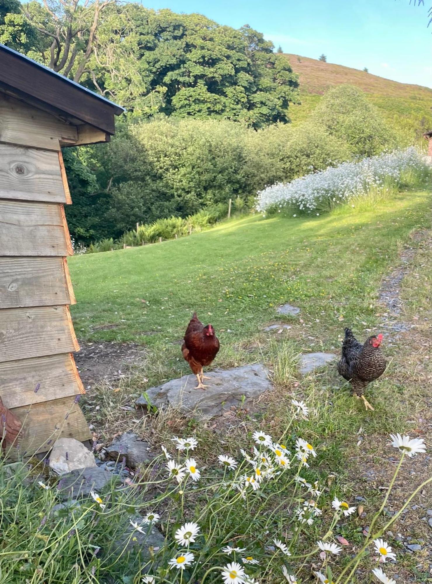Faraway Follies Villa Llandegla ภายนอก รูปภาพ